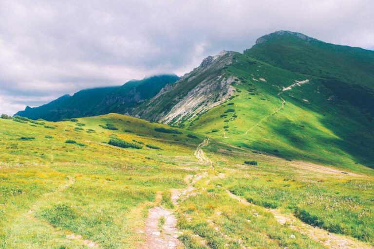 A winding trail leads through a grassy field, much like a specialty contractor navigating projects toward green, rocky mountains.