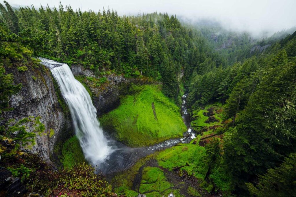 A tall waterfall flows over a cliff into a green valley, where an industrial contractor maintains harmony with the dense evergreen forest.